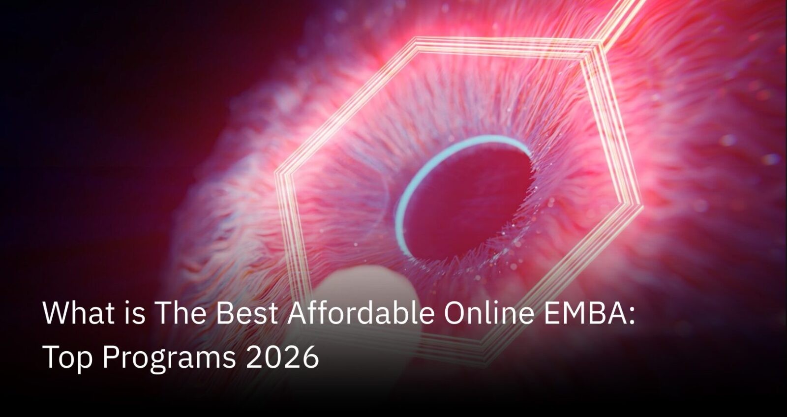 What is The Best Affordable Online EMBA: Top Programs 2026 | The Quantic Blog (1)